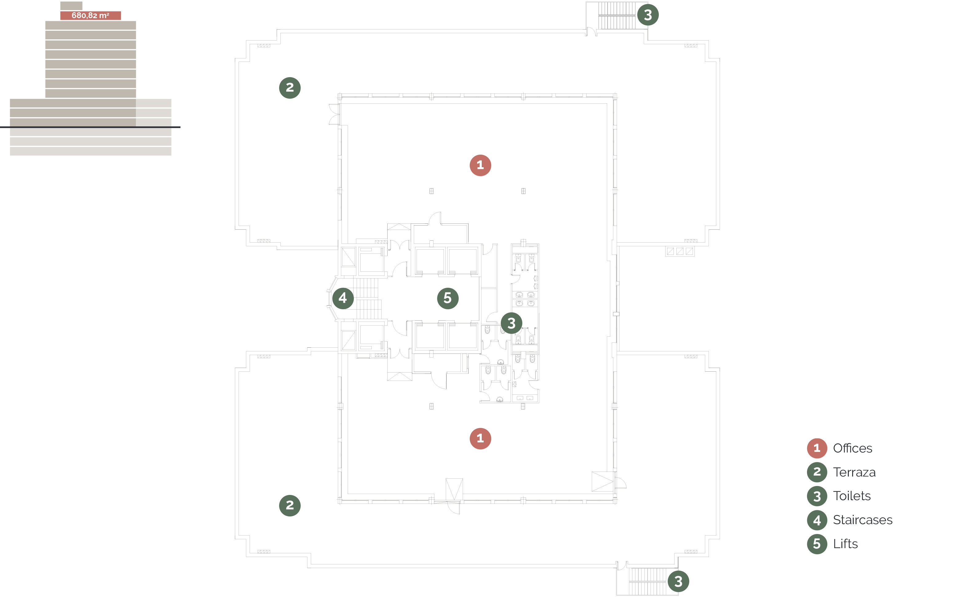 PLANTA 11